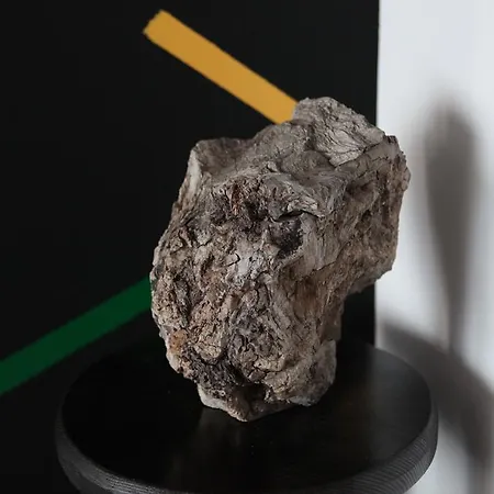 Appartamento Calutul De Mare Mamaia