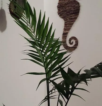 Apartment Calutul De Mare