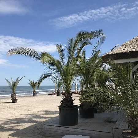 Apartament Calutul De Mare Mamaia